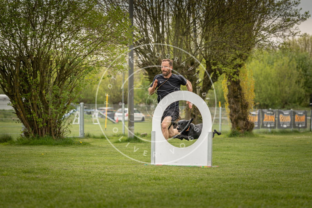 Pfotenfotografie_DV3A6911 | Hundefotografie, Tierfotograf, Pfotenfotografie, Fotoshooting Hund, Hunde Portrait, Hundesport, Hundeportraits, Heideshooting, Hunde, Sportfotograf, Hundefotograf, Turnierhundsport, THS,  - Realisiert mit Pictrs.com