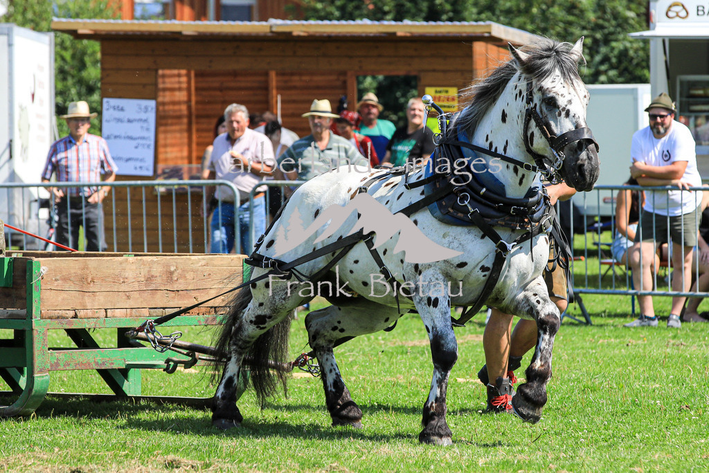 OE7A5726 | Medien- Sport- Entertainmentfotos