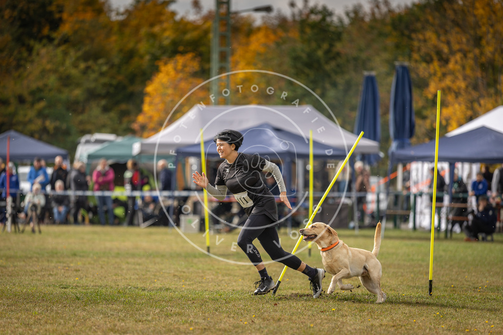 Pfotenfotografie_DV3A7134 | Hundefotografie, Tierfotograf, Pfotenfotografie, Fotoshooting Hund, Hunde Portrait, Hundesport, Hundeportraits, Heideshooting, Hunde, Sportfotograf, Hundefotograf, Turnierhundsport, THS,  - Realisiert mit Pictrs.com
