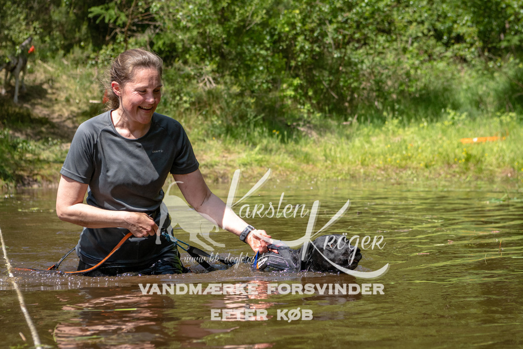 1338DKK990065 | kk-dogfotos