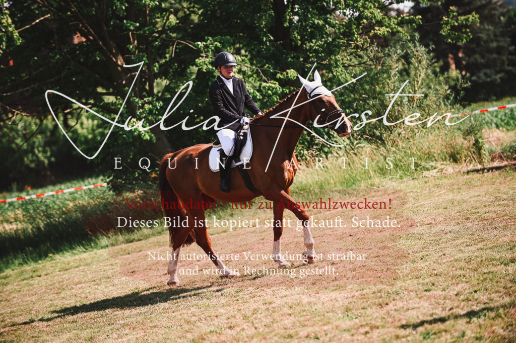 DSC_7319 | Pferde- und Turnierfotografie in Westsachsen. Pferdeportraits, Auftragszeichnungen und intuitive Kunst.