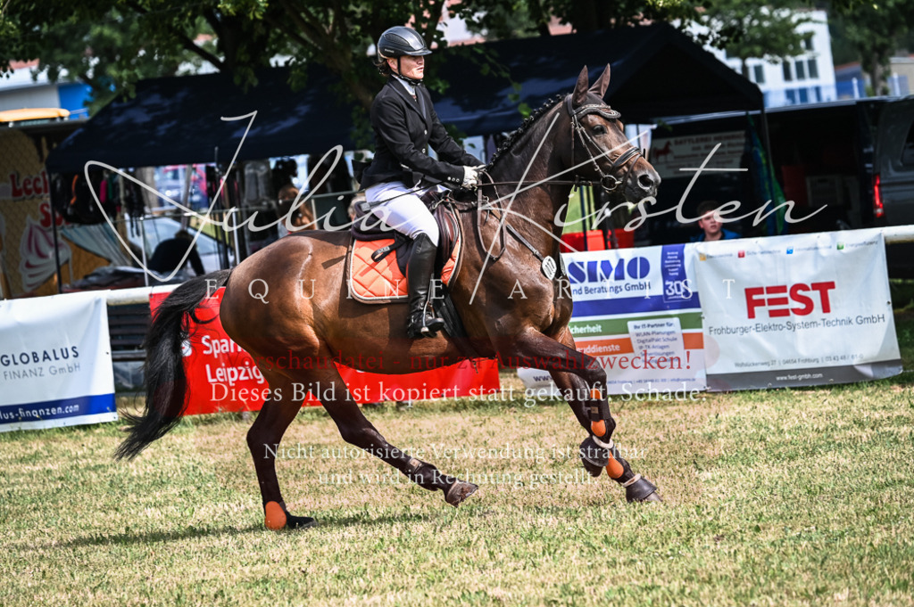 DSC_8284 | Pferde- und Turnierfotografie in Westsachsen. Pferdeportraits, Auftragszeichnungen und intuitive Kunst.