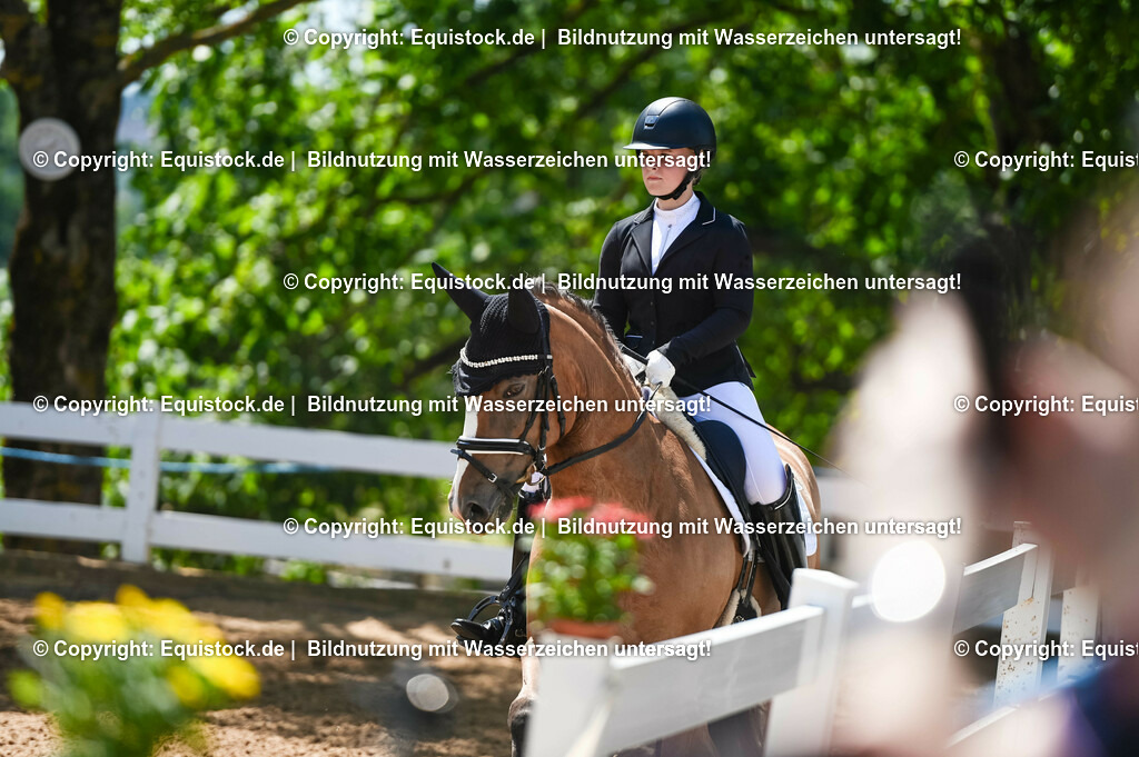20230715_09_Dressur-WB_0343 | equistock