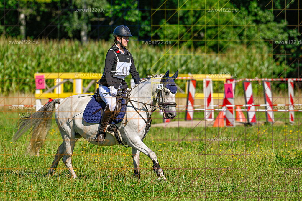 30 Jahre RFV Pulsnitz e.V., Pulsnitz am 09.08.2026 | 30Jahre Reit- und Fahrverein Pulsnitz e.V., Pulsnitz am 08.08.2026, Zur 28. breitensportlichen Veranstaltung des RFV Pulsnitz e.V. fanden verschiedene Wettbewerbe in nahezu allen Disziplinen des Pferdesport statt.- Gelände-Reitwettbewerb für Einsteiger - Realisiert mit Pictrs.com