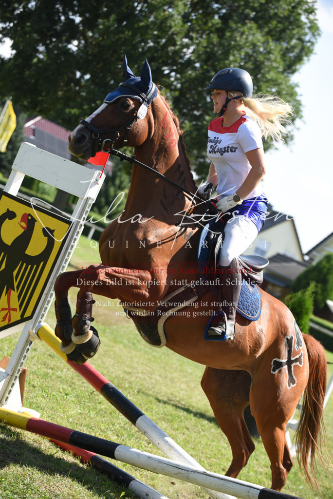 DSC_0330 | Pferde- und Turnierfotografie in Westsachsen. Pferdeportraits, Auftragszeichnungen und intuitive Kunst.
