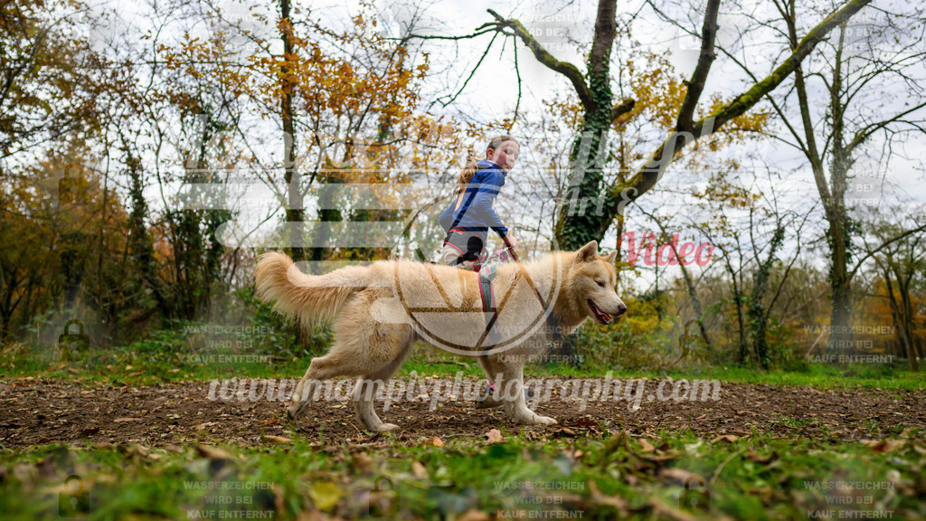 MompixPhotography_Bischwiller24_DI_CoursedeRelais-114 | PayLife