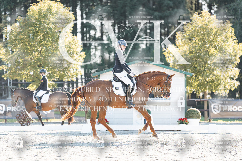CK906992 | Turnierfotografie Pferdefotografie Trier Rheinland-Pfalz Pferdesport Reitsport Tierfotografie Sportfotografie Pferdevideo Pferdevideografie Equestrianvideography equestrianphotography  - Realisiert mit Pictrs.com