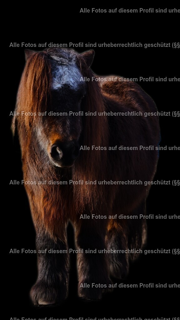 1740928466974_2 | krollfotografie - Realisiert mit Pictrs.com