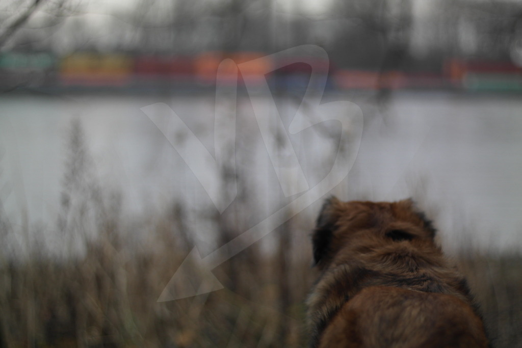 Side by Side | Photographs between movement and pause. Quiet moments, found in existing light. - Realisiert mit Pictrs.com