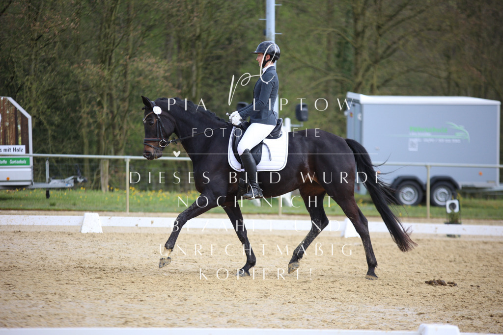 IMGT6429 | pl-fotografie