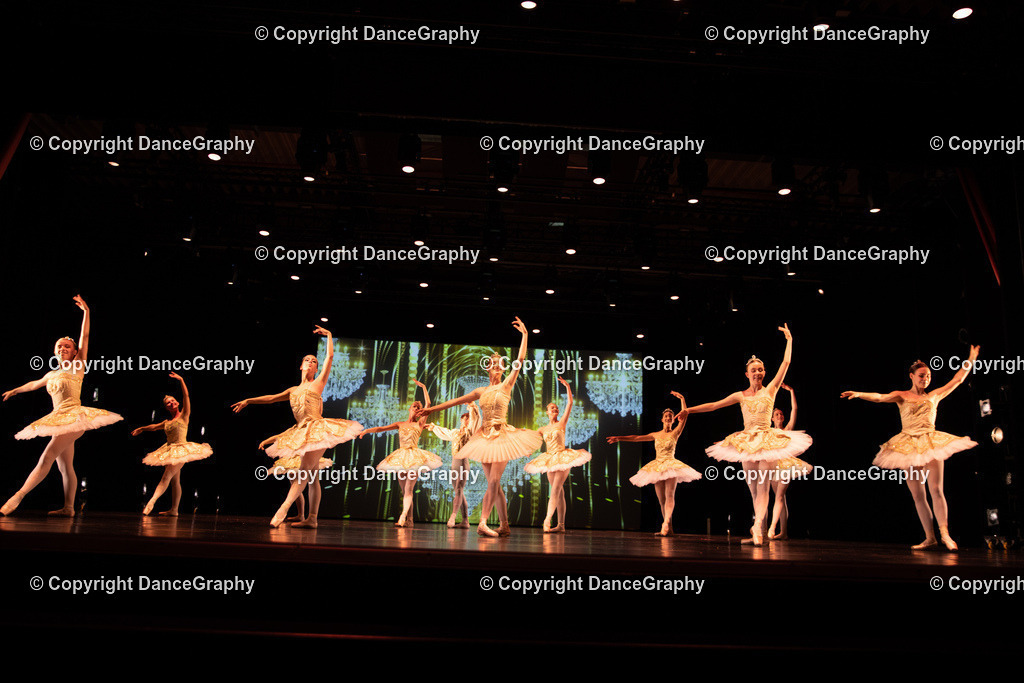 GPHY5364 | DanceGraphy - Realisiert mit Pictrs.com