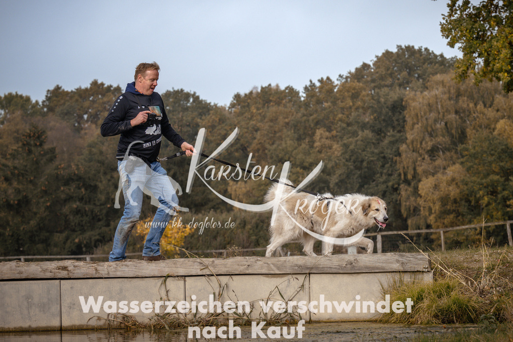 1119_ZZ93963 | kk-dogfotos