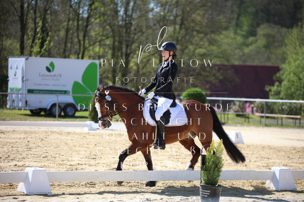 IMGT0070 | pl-fotografie