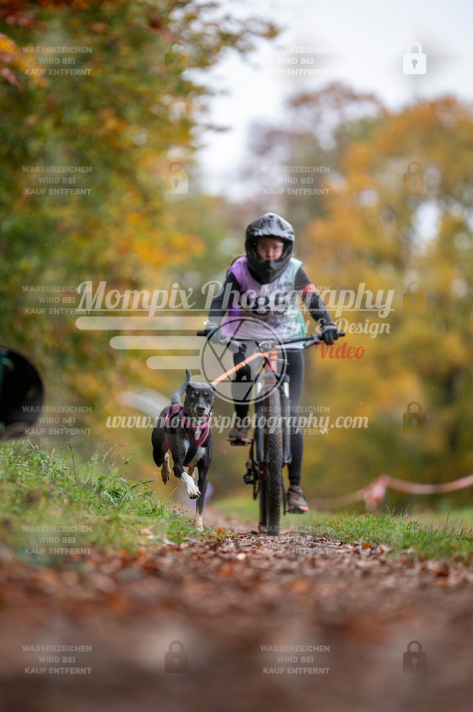 DBT_DAKM_SA_4_11_2023_Bike-102 | PayLife