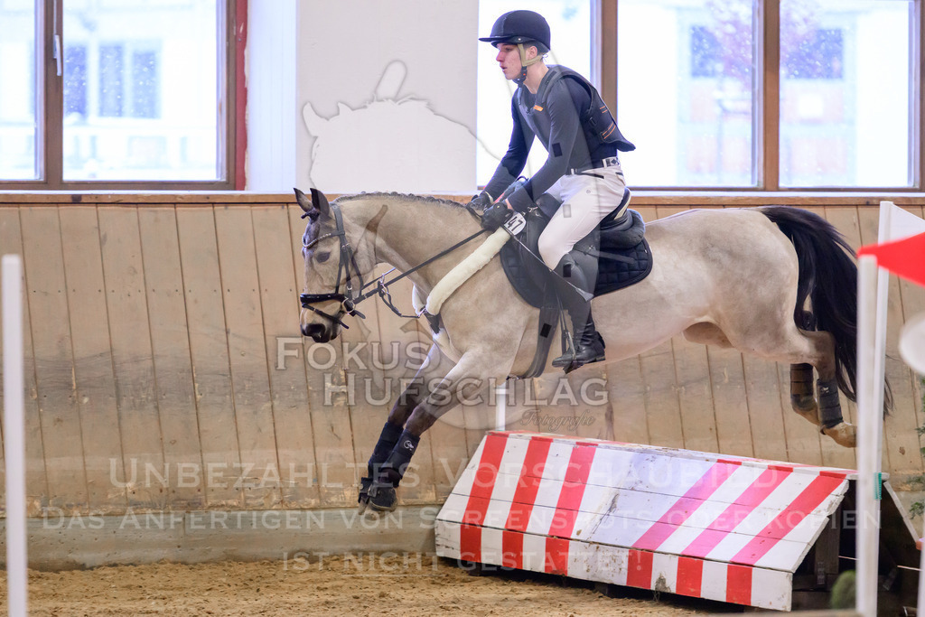 29032026-Schwaiganger-Prfg01-294 | Fokus Hufschlag Fotografie - Realisiert mit Pictrs.com