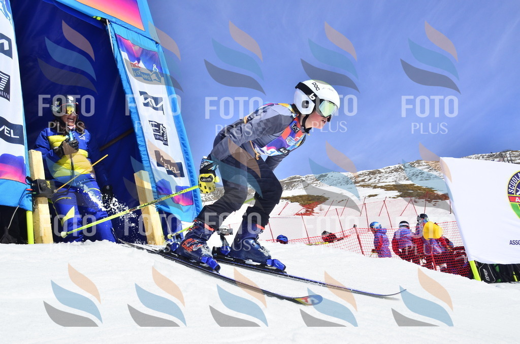 _ELE0631 | holidayphoto