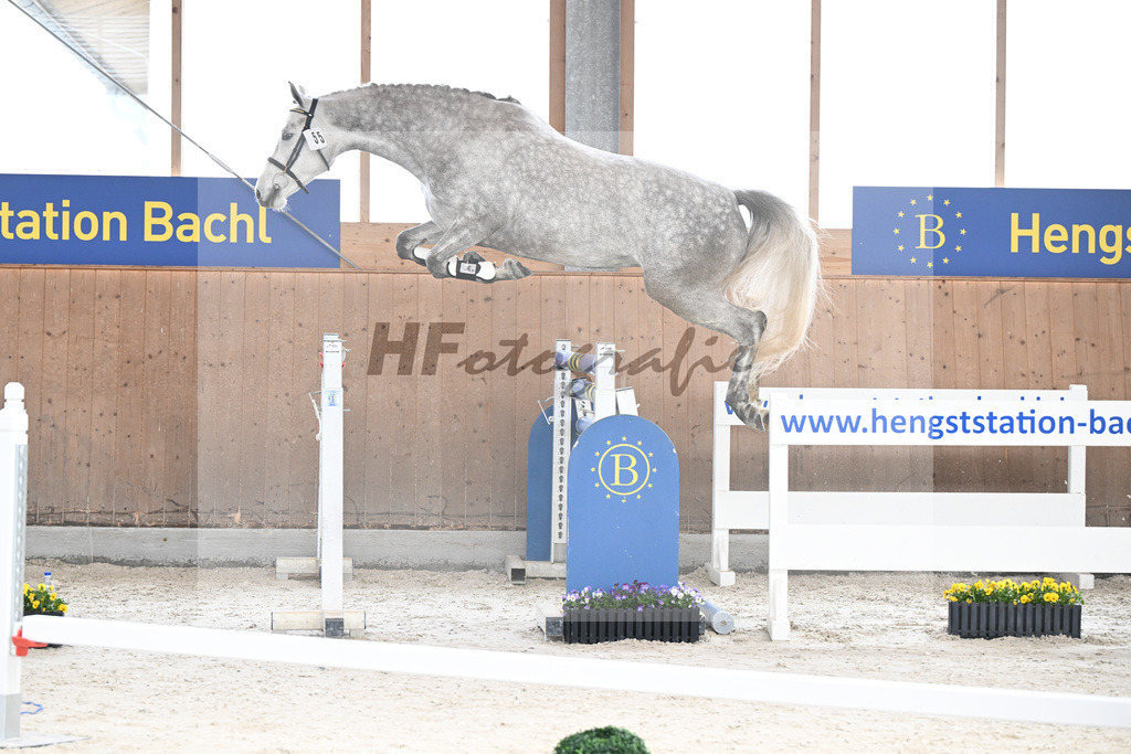 Kat-Nr. 55 Vilma v. Vingino_Zimmermann_5250442 | hf-fotografie - Realisiert mit Pictrs.com