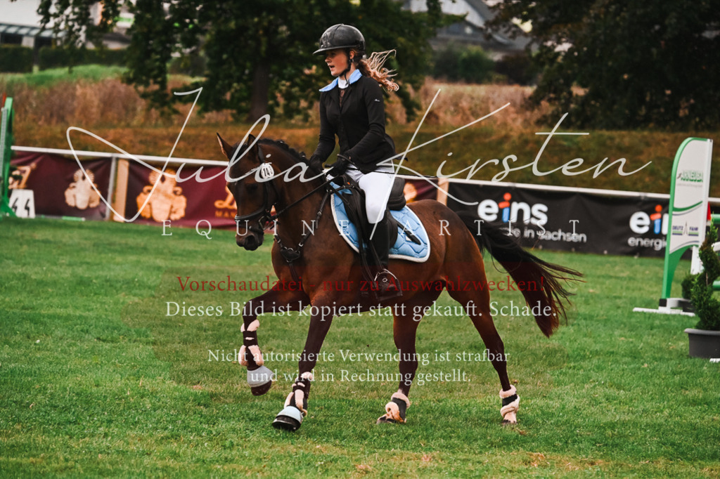 DSC_6163 | Pferde- und Turnierfotografie in Westsachsen. Pferdeportraits, Auftragszeichnungen und intuitive Kunst.
