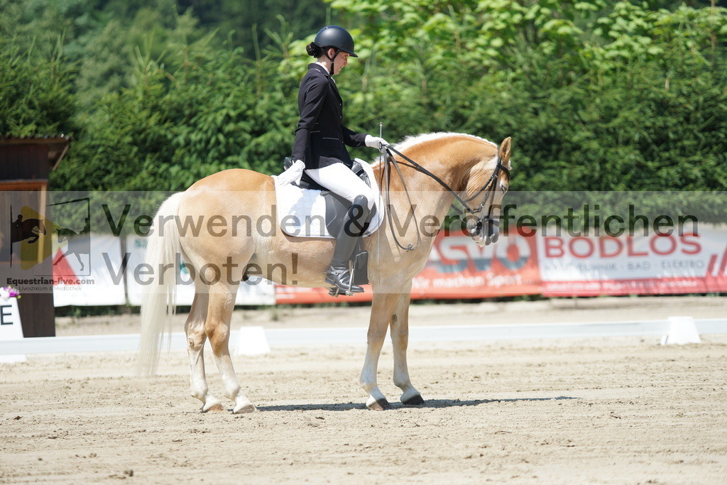 DSC03496 | equestrian-live-com