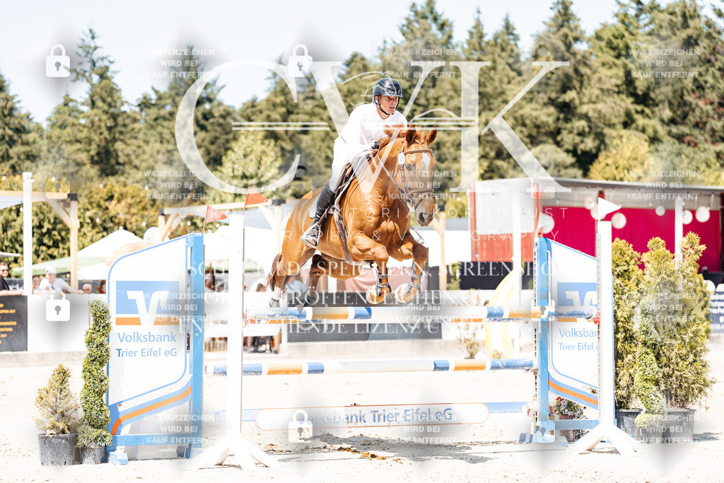 CK900694 | Turnierfotografie Pferdefotografie Trier Rheinland-Pfalz Pferdesport Reitsport Tierfotografie Sportfotografie Pferdevideo Pferdevideografie Equestrianvideography equestrianphotography  - Realisiert mit Pictrs.com