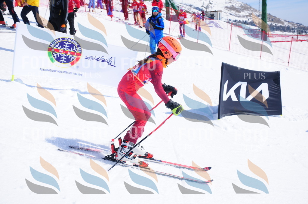 DSC_5204 | holidayphoto