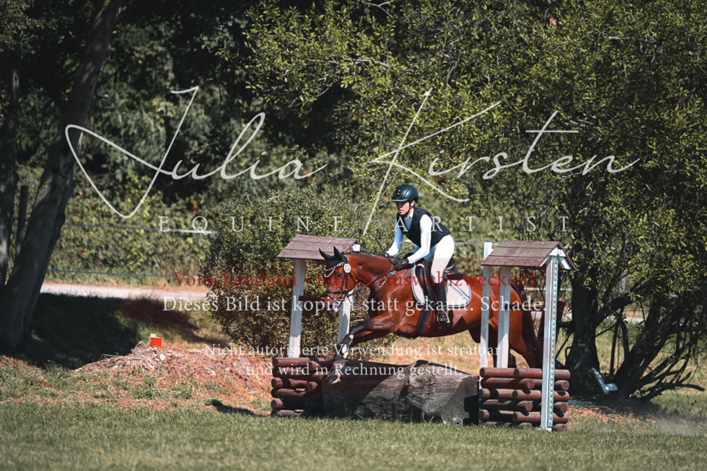 DSC_8265 | Pferde- und Turnierfotografie in Westsachsen. Pferdeportraits, Auftragszeichnungen und intuitive Kunst.