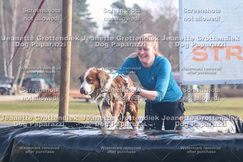 Dog Paparazzi - Strongdog North Mrz26-449 | Dog Paparazzi Jeanette Grottendiek Fotografie & Videografie - Realisiert mit Pictrs.com