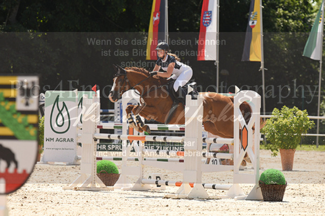 DSC_6301 | Pics4Emotions Photography - Realisiert mit Pictrs.com