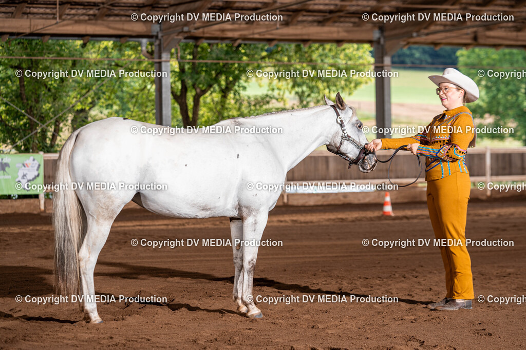 Erbach Tag 3-75 | dv-media-shop - Realisiert mit Pictrs.com