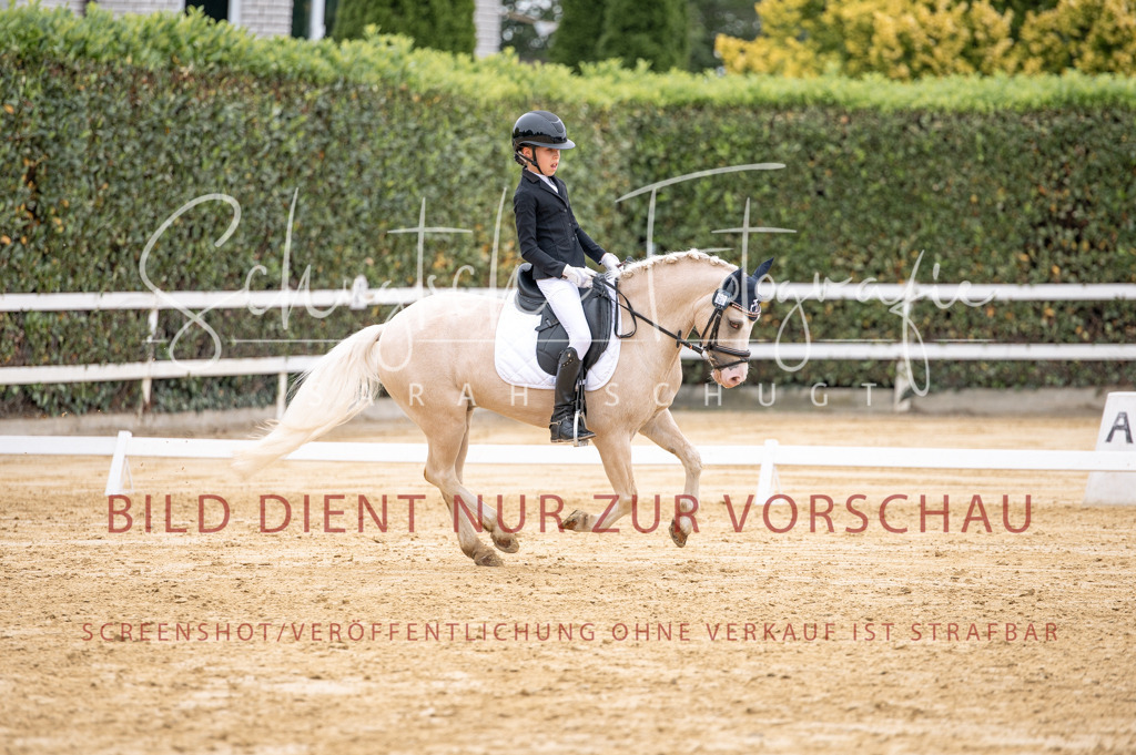 Schugtsche-Aluta25-40.DressurprfA_-474 | Schugtsche Fotografie - Realisiert mit Pictrs.com