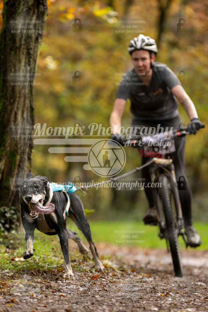 MompixPhotography_Bischwiller23_Bike-48 | PayLife