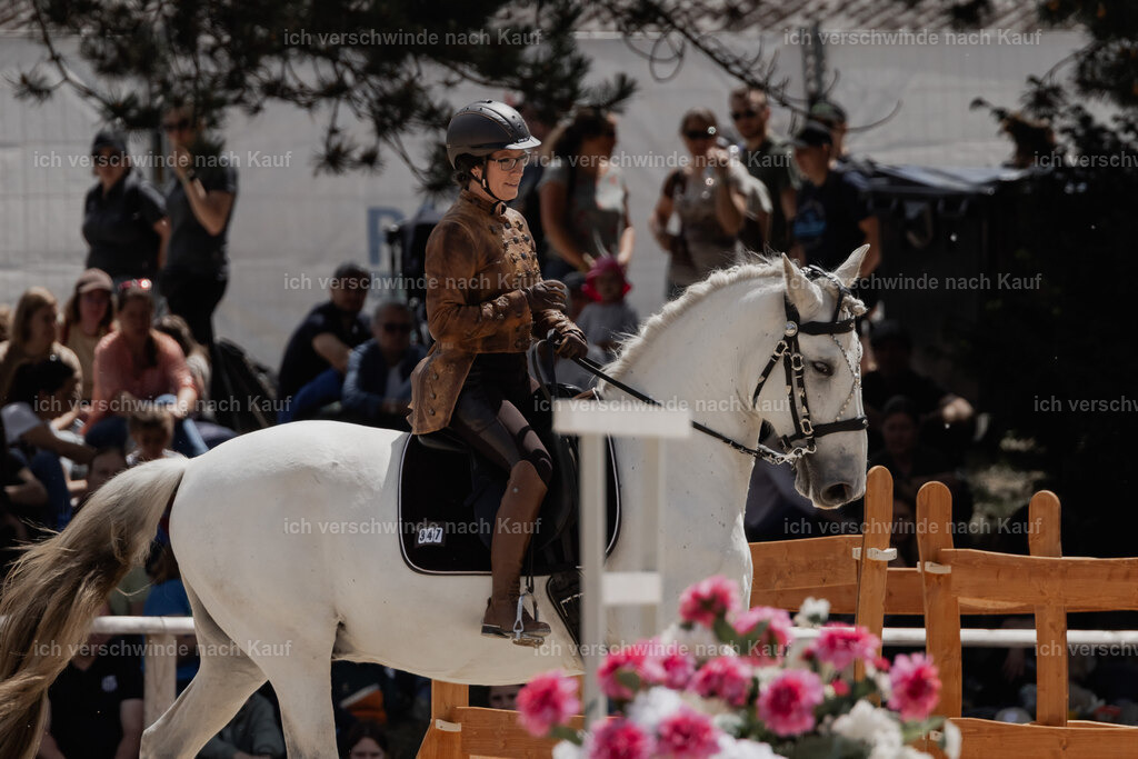 WE_ST_Stoib_347_PI2025_1065 | Pferd International München 2025