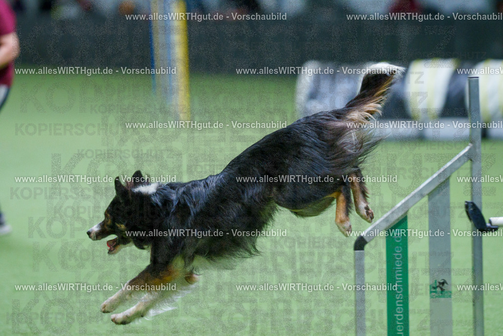 @allesWIRTHgut_Tierfotografie - www.allesWIRTHgut.de - 2604251102-7R500951 | Professionelle Tierfotografie in Mönchengladbach von Daniel Wirth (allesWIRTHgut). Liebevolle & natürliche Bilder von Hunden & Katzen für unvergessliche Erinnerungen.