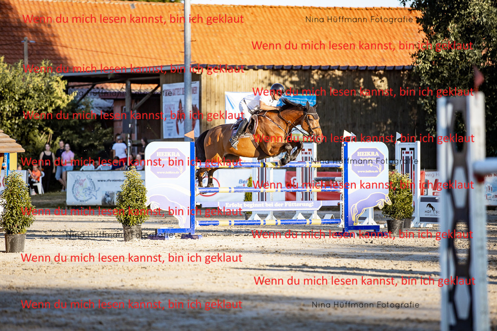 BK1A8551 | Turnierbilder Turnierfotos Nina Hüffmann Turnierfotografie Pferdefotografie Tierzeichnung Haustierzeichnung Pferdezeichnung Hundezeichnung Videograf  - Realisiert mit Pictrs.com