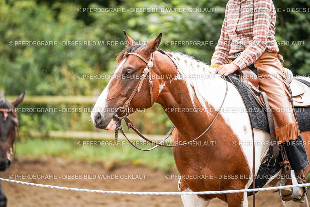 DSC04368 | Pferdegrafie