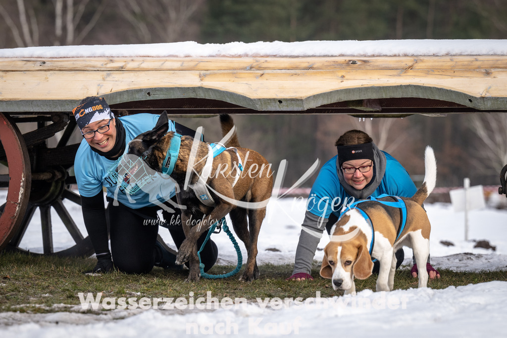 0828_ZZ91704-5 | kk-dogfotos
