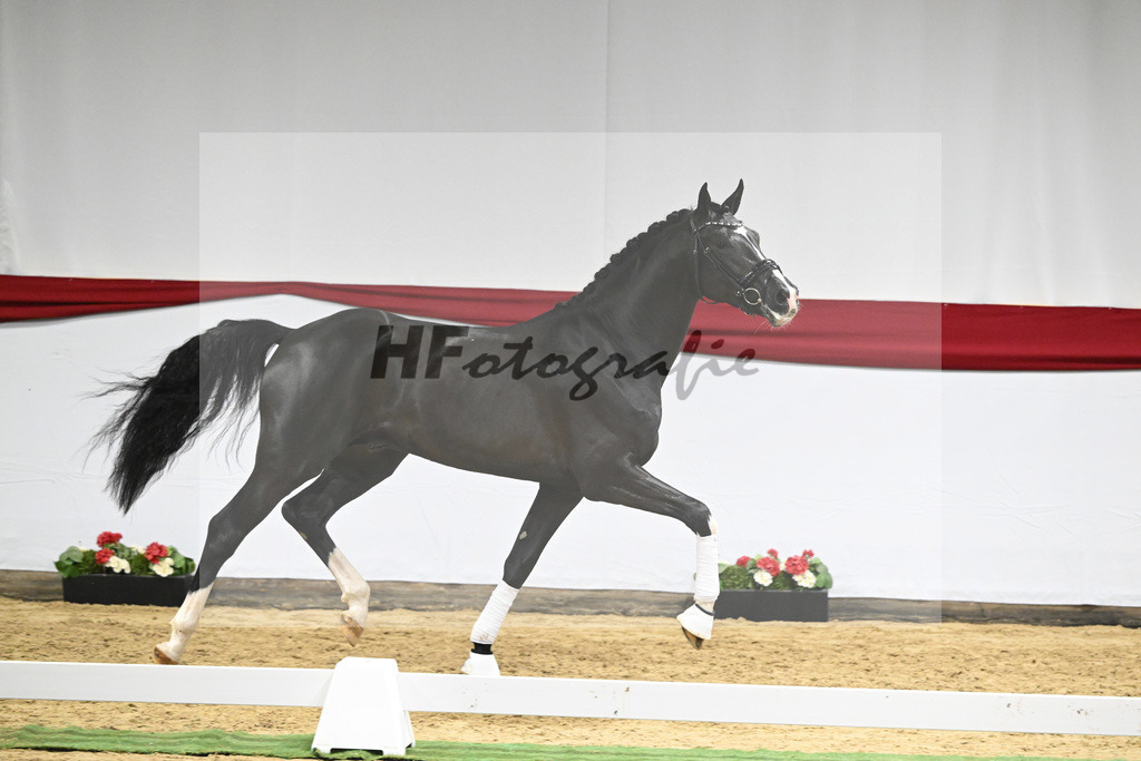 Kat-Nr. 17 v. Sezuan_Logpoint GmbH_63220511 | hf-fotografie - Realizzato con Pictrs.com