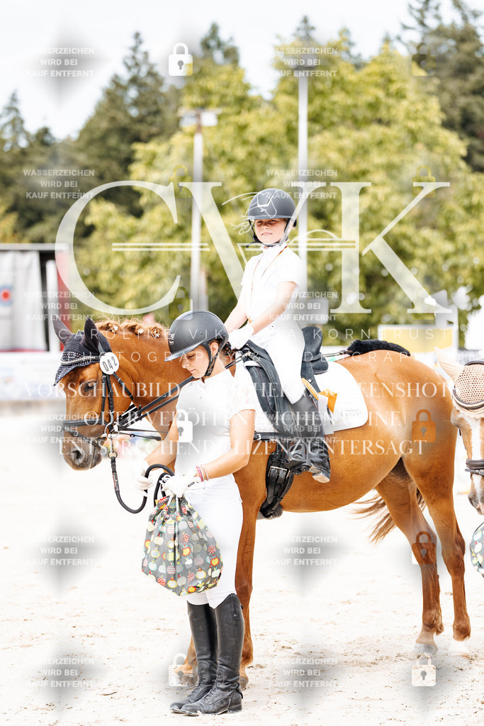 CK907027 | Turnierfotografie Pferdefotografie Trier Rheinland-Pfalz Pferdesport Reitsport Tierfotografie Sportfotografie Pferdevideo Pferdevideografie Equestrianvideography equestrianphotography  - Realisiert mit Pictrs.com