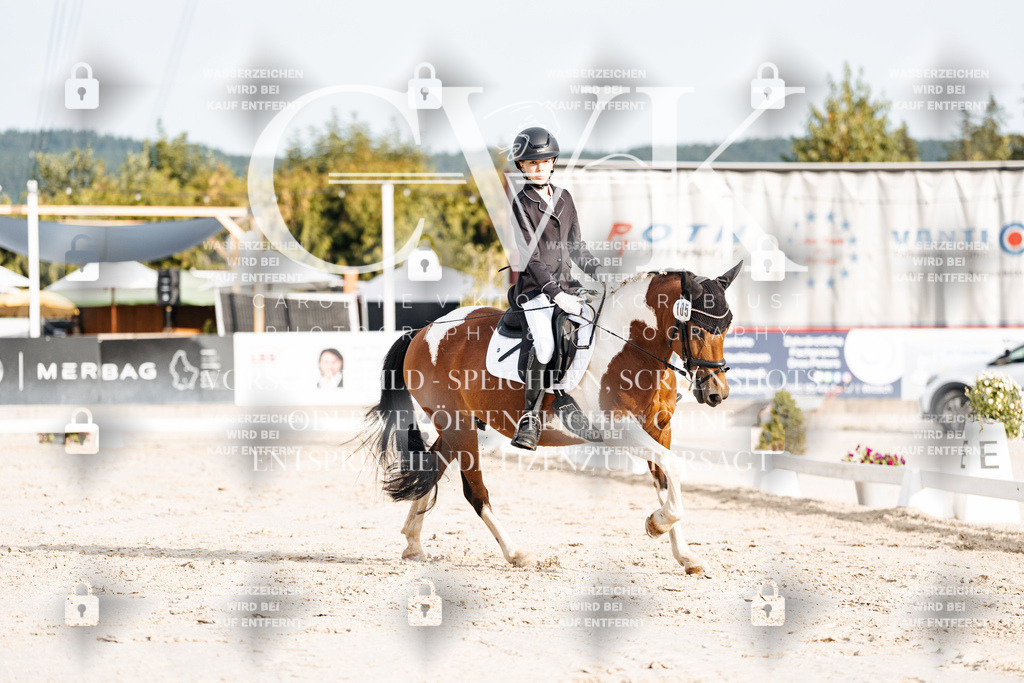 CK903946 | Turnierfotografie Pferdefotografie Trier Rheinland-Pfalz Pferdesport Reitsport Tierfotografie Sportfotografie Pferdevideo Pferdevideografie Equestrianvideography equestrianphotography  - Realisiert mit Pictrs.com