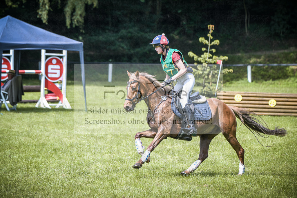 DOS_8195 | Entdecke hochwertige Reitturnierfotos von Foto Oger. Professionell, emotional und authentisch – jetzt Lieblingsmomente im Shop bestellen.Deutschlandweite Turnierfotografie. - Realisiert mit Pictrs.com