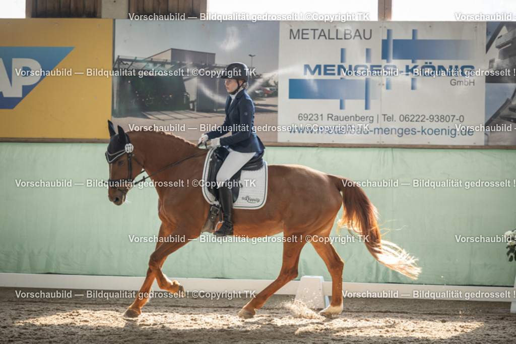 _D5A5764 | Emotionale Pferde- & People-Fotografie rund um Heidelberg, Leimen & Umgebung. Natürliche Fotos von Pferd, Mensch & Familie. Jetzt Termin sichern!