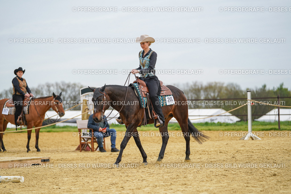 DSC03221 | Pferdegrafie