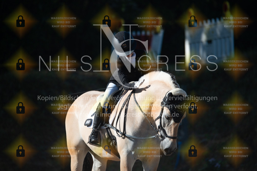 DSC_7712 | Nils Cress - Fotografie - Realisiert mit Pictrs.com