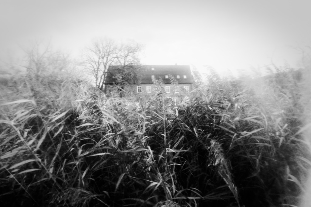 in Seedorf. Rügen | Stimmungsvolle Fotografien von Dorit Fuhg. Kaufen Sie bequem hochwertige Fine-Art Drucke, Wandbilder und Kalender hier im Online-Shop. - Realisiert mit Pictrs.com