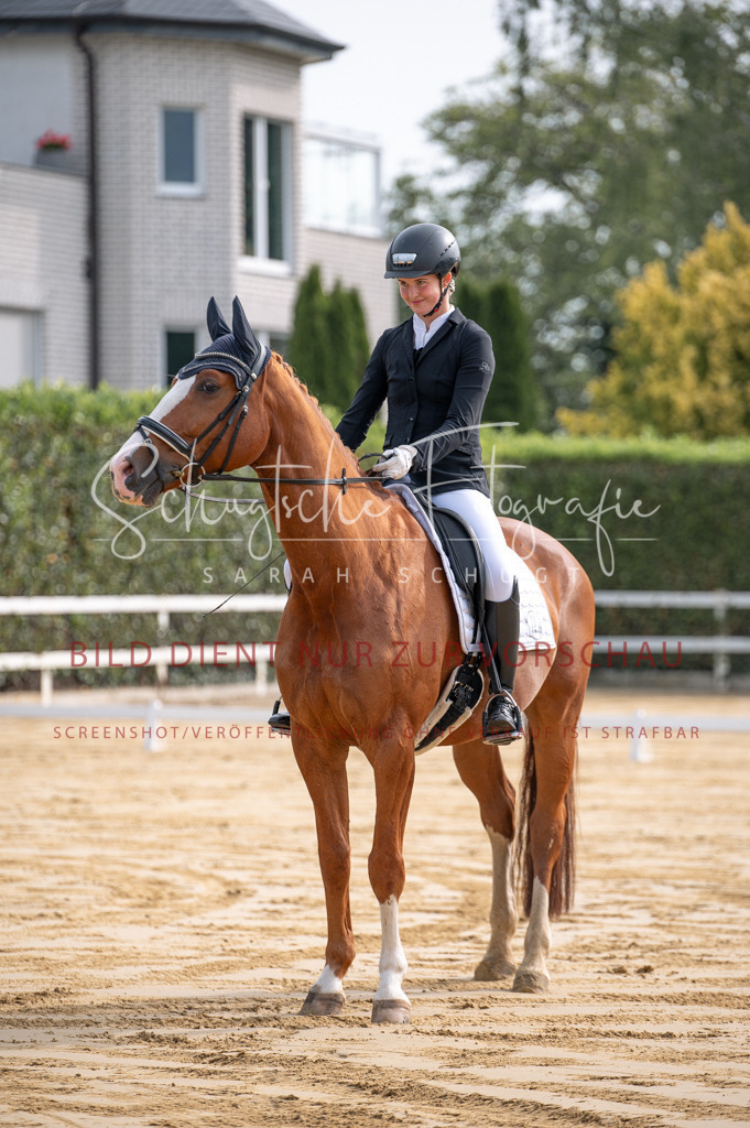 Schugtsche-Aluta25-40.DressurprfA_-17 | Schugtsche Fotografie - Realisiert mit Pictrs.com