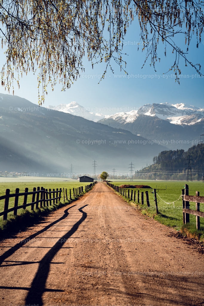 Stumm im Frühling copyright  Thomas Pfister-1 | PHOTOGRAPHY BY THOMAS PFISTER