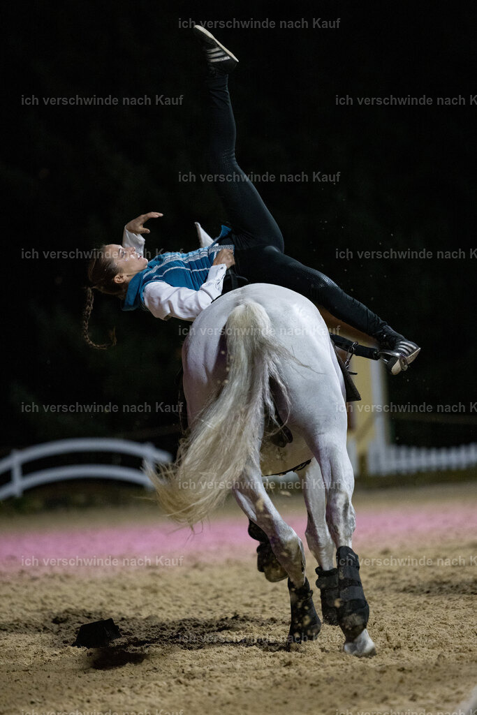 Gala-631 | working equitationturnier fotograf videograf stoibphotography marixx film working equitation deutschland reitsport turnierfotografie eventfotografie equestrian events