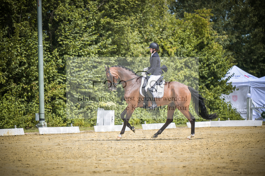 DOS_2962 | Entdecke hochwertige Reitturnierfotos von Foto Oger. Professionell, emotional und authentisch – jetzt Lieblingsmomente im Shop bestellen.Deutschlandweite Turnierfotografie. - Realisiert mit Pictrs.com