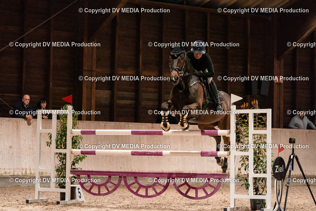 Springen Tag 2-916 | dv-media-shop - Realisiert mit Pictrs.com