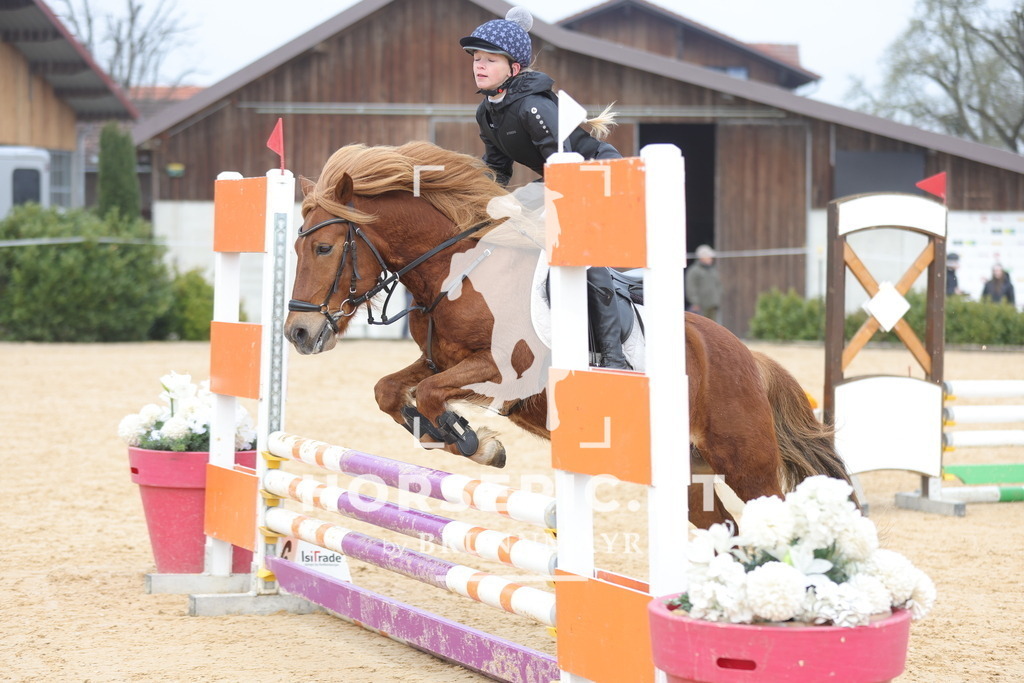 0P6A8700 | Willkommen bei Brunnmayr - Design & Fotografie – Ihrem Spezialisten für Reitturniere und Pferdeveranstaltungen in Oberösterreich, Salzburg und Bayern! Seit über 17 Jahren sind wir leidenschaftlich dabei.